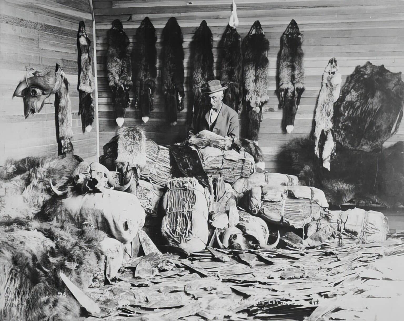 Obchodník s kožešinami v Albertě v roce 1890
