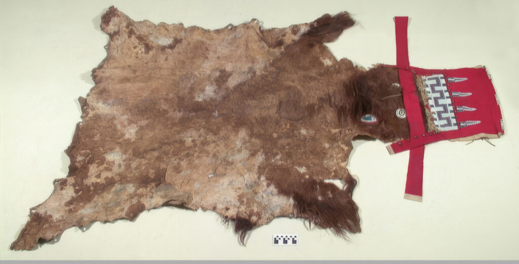 Banner přivolávače bizonů, Plains Cree (podle muzejní karty údajně Lakota), NMAI
