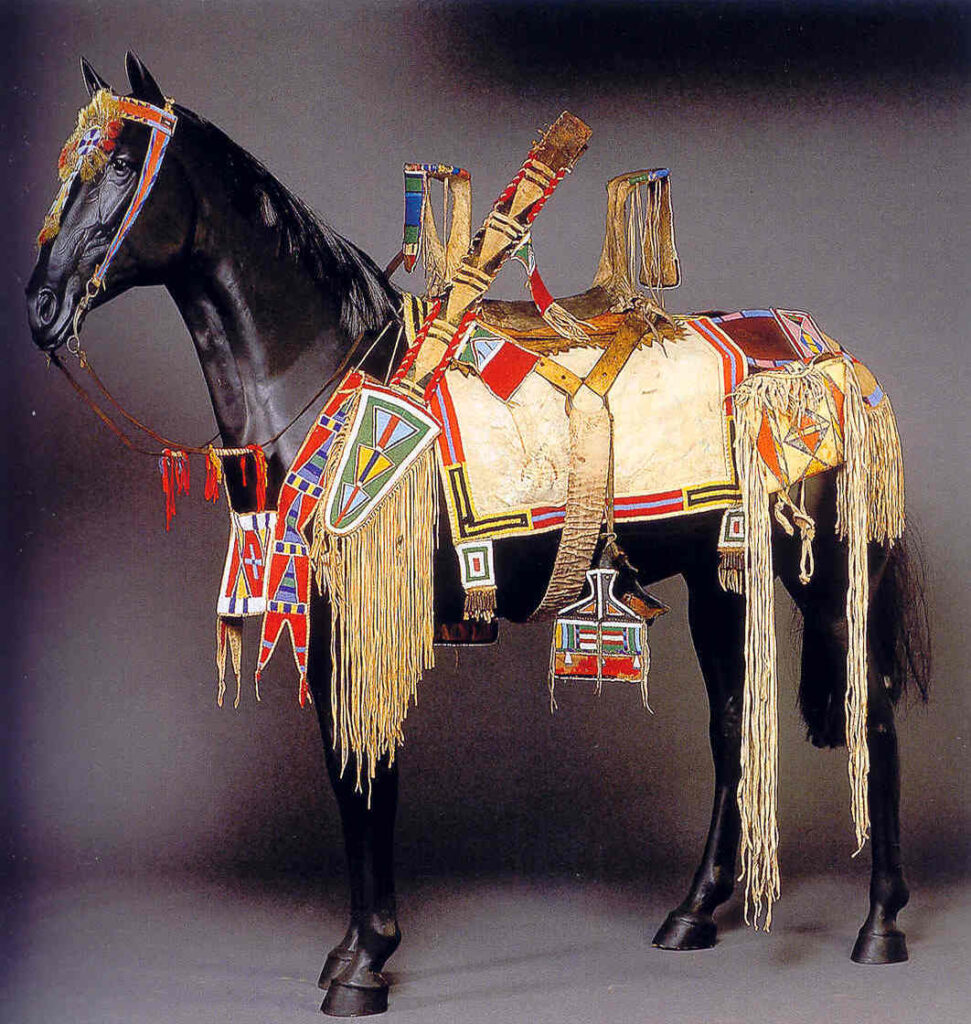 Kůň kmene Vran, plně ozdobený na přehlídku. Podsedlová deka je ozdobená celá kolem dokola.