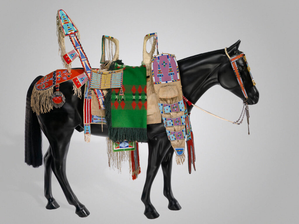 Kůň kmene Vran, plně ozdobený na přehlídku. Podsedlová deka má ozdobenou jenom zadní část.