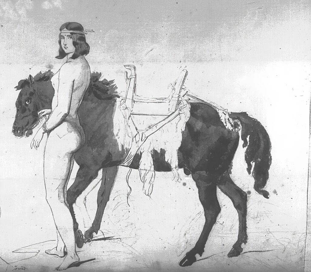 Skica malíře Friedricha Kurze z 50. let 19. století vyobrazuje indiánku s osedlaným koněm (ženské dřevěné sedlo). Sedlo je vypodloženo podsedlovou dekou z bizoní kožešiny.