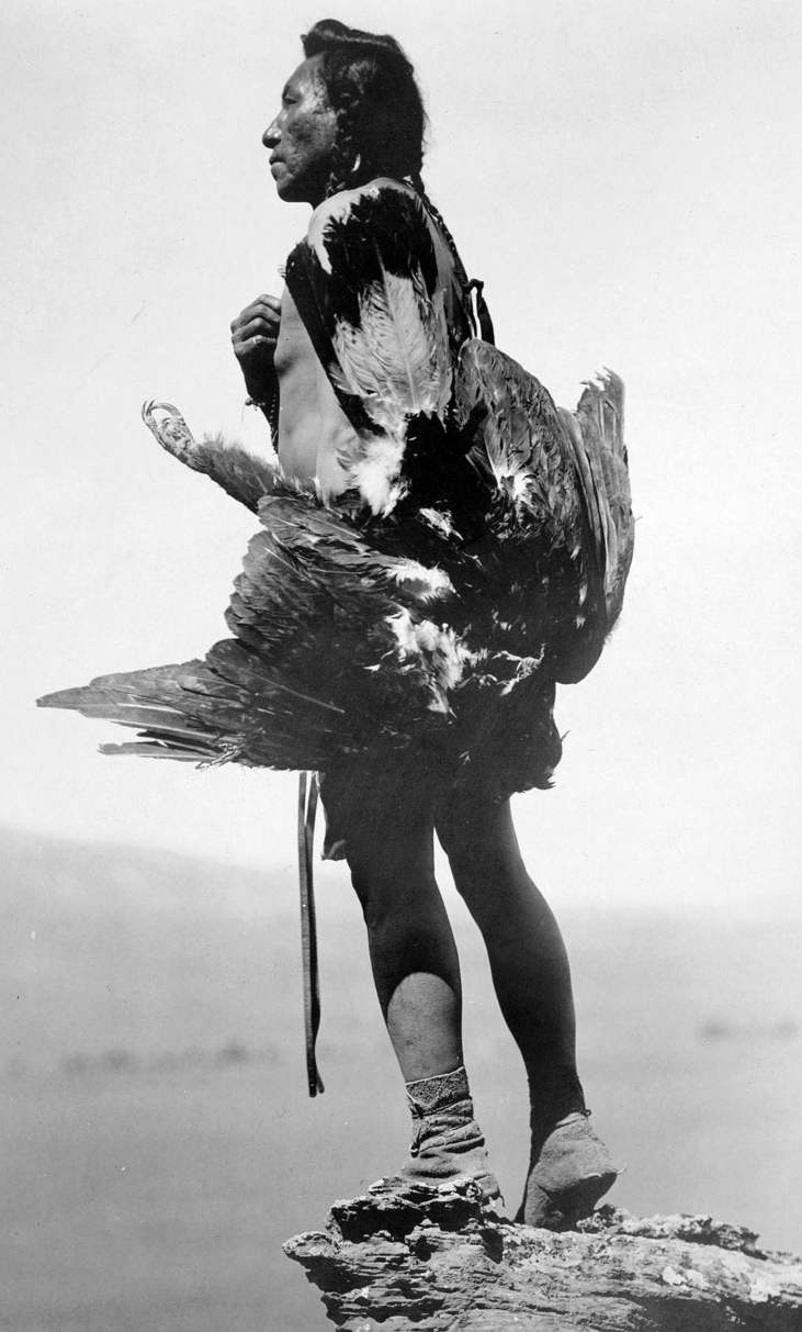 Lovec orlů s uloveným skalním orlem - Hidatsa. Fotografie Edward Curtis.