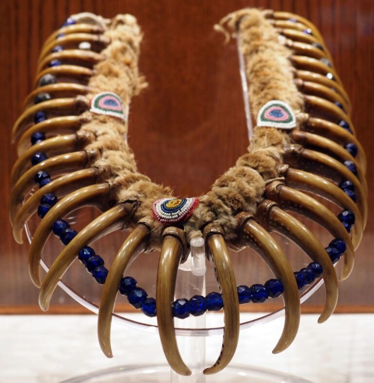 Náhrdelník kmene Meskwaki. Vyroben je z drápů prérijního grizzlyho a pochází z období kolem roku 1830.