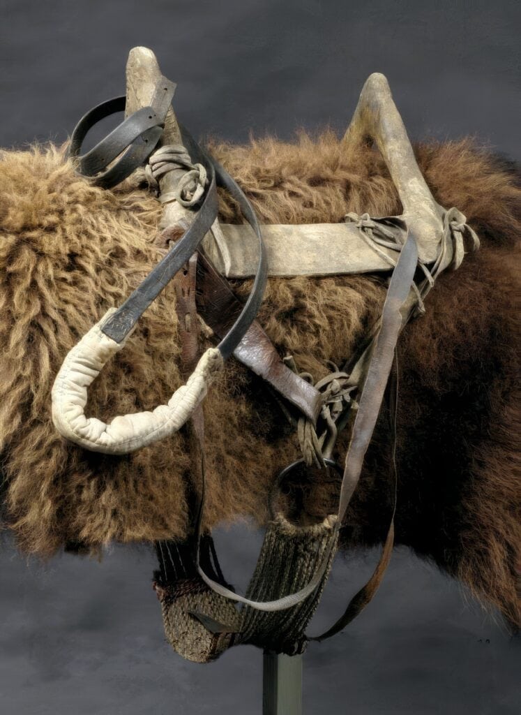 Podsedlová deka z bizoní kožešina a tetřívkové sedlo.