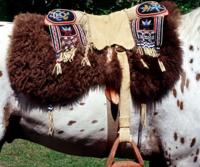Polštářové sedlo vypodložené podsedlovou dekou z bizoní kožešiny.