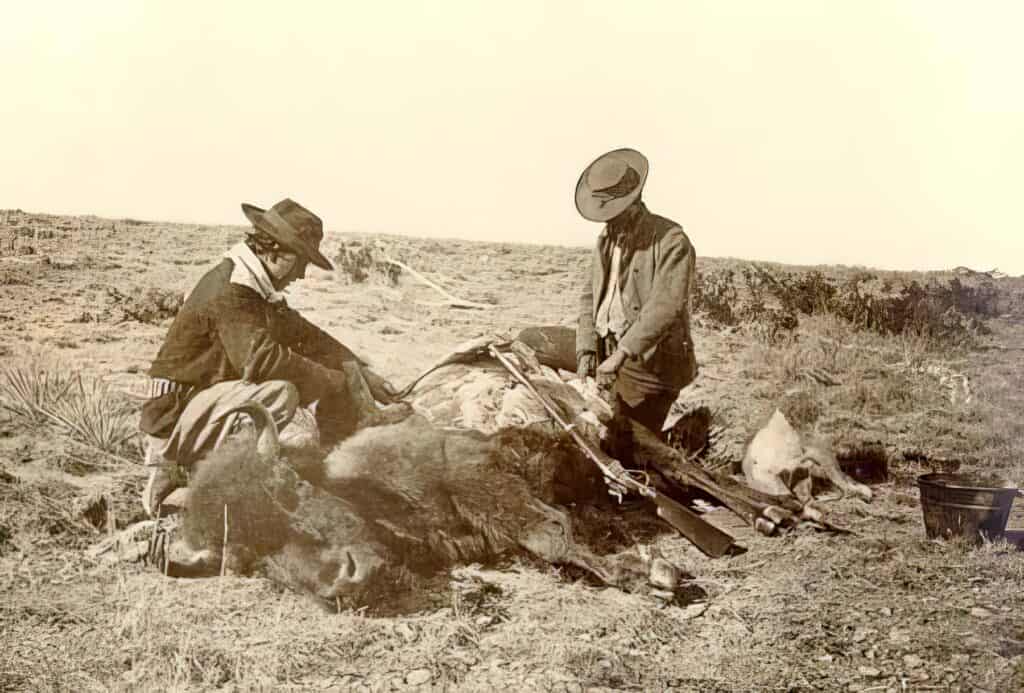 Komerční lovci bizonů v akci.